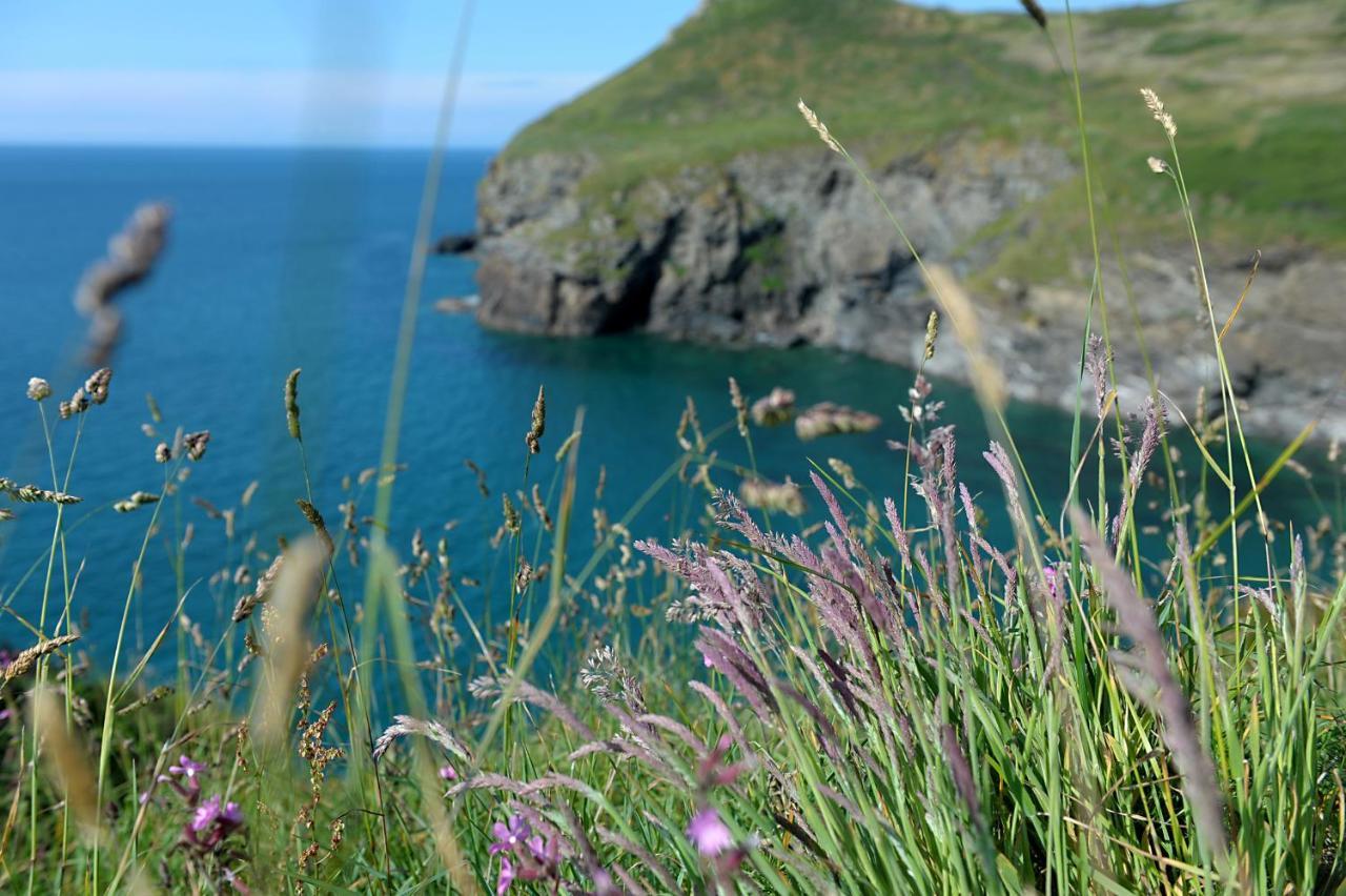 Tranquil Cornish Retreat Close To Port Isaac Beaches And Moor Bodmin Εξωτερικό φωτογραφία