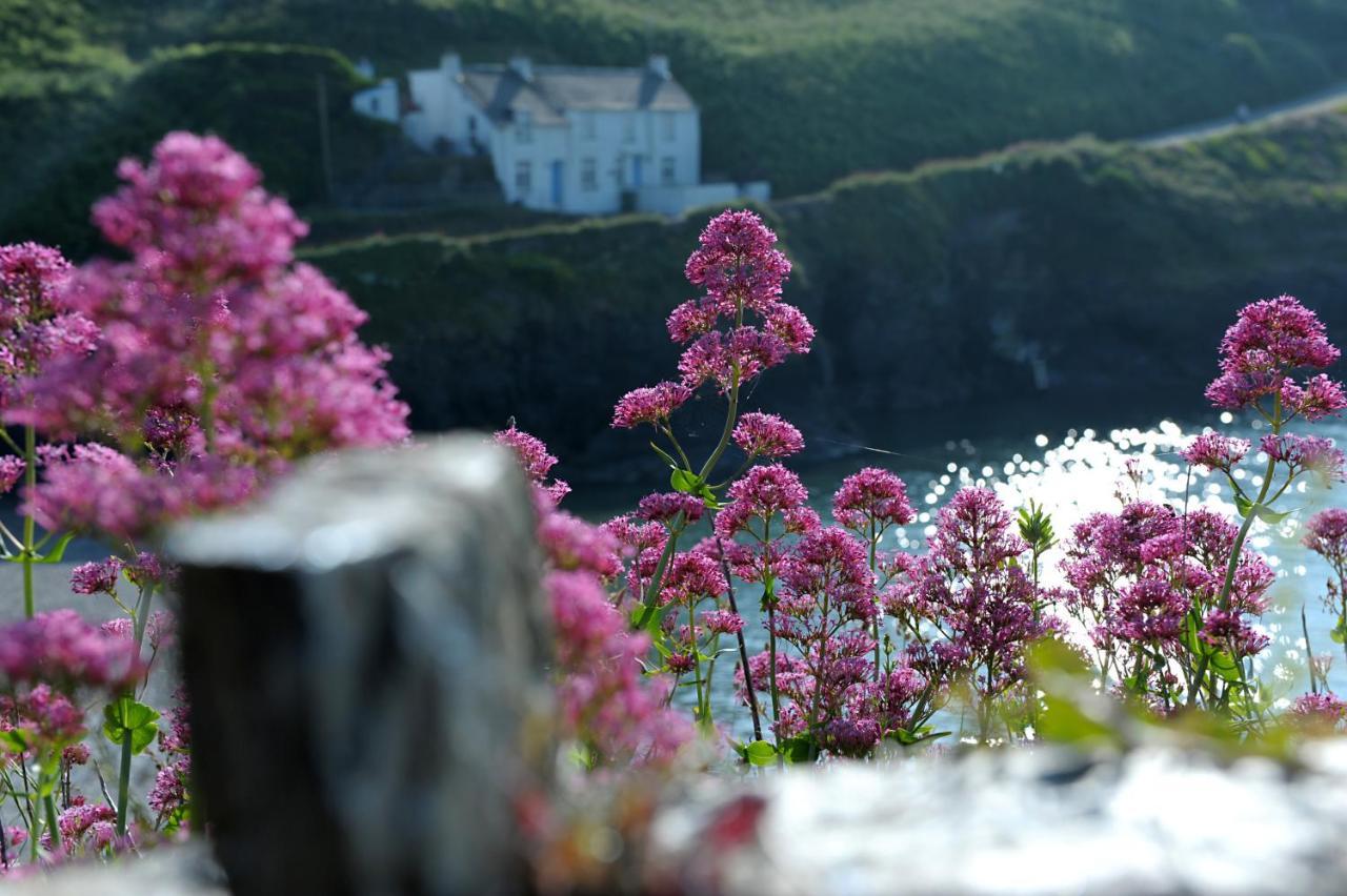 Tranquil Cornish Retreat Close To Port Isaac Beaches And Moor Bodmin Εξωτερικό φωτογραφία