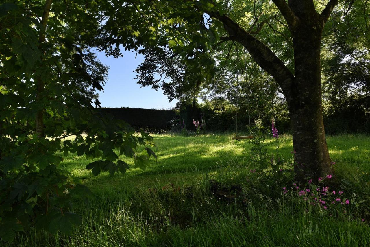 Tranquil Cornish Retreat Close To Port Isaac Beaches And Moor Bodmin Εξωτερικό φωτογραφία